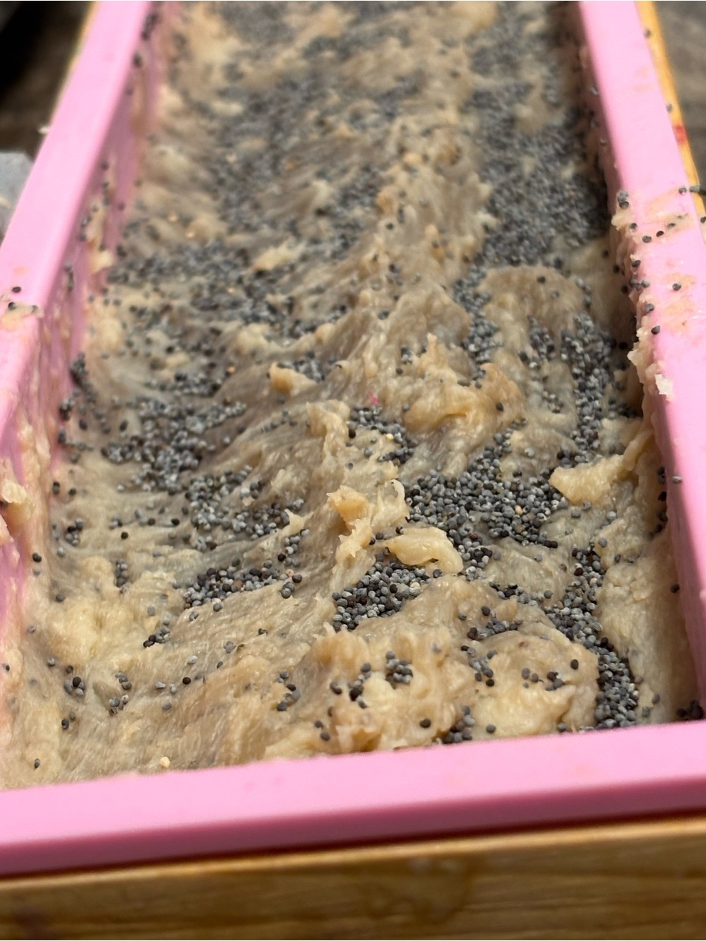Poppy Seed Exfoliating Soap Bar. Dragonfruit, Castile